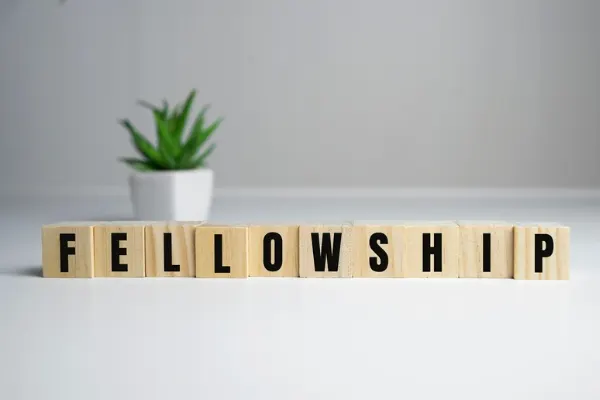Alphabet blocks making up fellowship that represents nursing schools fellowship